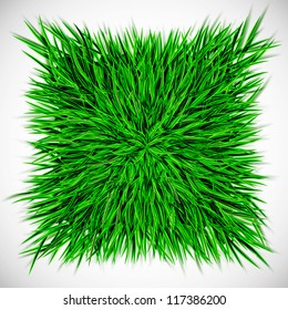 Background with square of grass. Eps 10