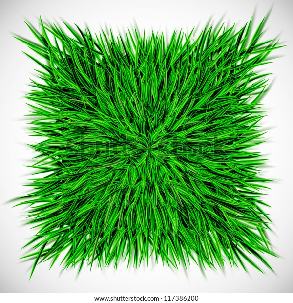 Background Square Grass Eps 10 Stock Vector Royalty Free 117386200