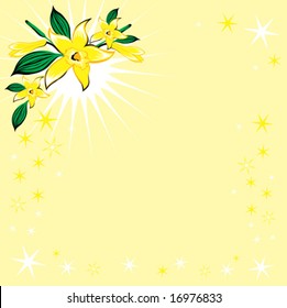 background with stars and  vanilla flower