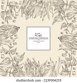 Background with stemona tuberosa: stemona plant, leaves, flowers and stemona tuberosa root. Cosmetic, perfumery and medical plant. Vector hand drawn illustration.