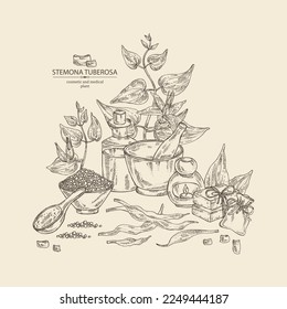 Background with stemona tuberosa: stemona plant, leaves, flowers and stemona tuberosa root. Oil, soap and bath salt . Cosmetics and medical plant. Vector hand drawn illustration