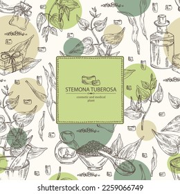 Background with stemona tuberosa: stemona plant, leaves, flowers and stemona tuberosa root. Oil, soap and bath salt . Cosmetics and medical plant. Vector hand drawn illustration