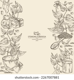 Background with stemona tuberosa: stemona plant, leaves, flowers and stemona tuberosa root. Oil, soap and bath salt . Cosmetics and medical plant. Vector hand drawn illustration