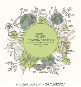 Background with stemona tuberosa: stemona plant, leaves, flowers and stemona tuberosa root. Oil, soap and bath salt . Cosmetics and medical plant. Vector hand drawn illustration