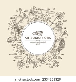 Background with stephania glabra: stephanie smooth plant, stephanie smooth tuber, bath salt, soap and beauty products. Cosmetic, perfumery and medical plant. Vector hand drawn illust