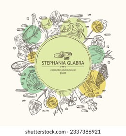Background with stephania glabra: stephanie smooth plant, stephanie smooth tuber, bath salt, soap and beauty products. Cosmetic, perfumery and medical plant. Vector hand drawn illust