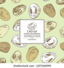 Background with straw mushroom: Cao Gu mushroom and a bit of volvariella volvacea. Mushroom. Vector hand drawn illustration