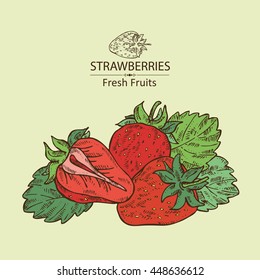 Background with strawberries . hand drawn