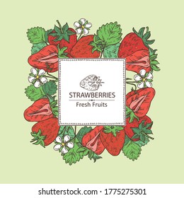 Background with strawberries. Vector hand drawn illustration