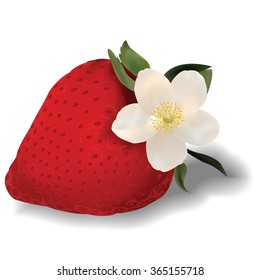 Background with Strawberry for your design