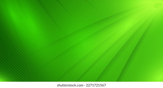 Background of strokes in the form of abstract -shaped green texture creative banner abstract dark