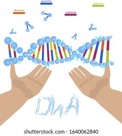 Background of the structure of a DNA molecule with a designation of structure. vector illustration in eps10 format