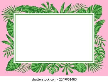 Background with stylized palm leaves. Image of tropical foliage and plants.