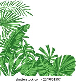 Background with stylized palm leaves. Image of tropical foliage and plants.