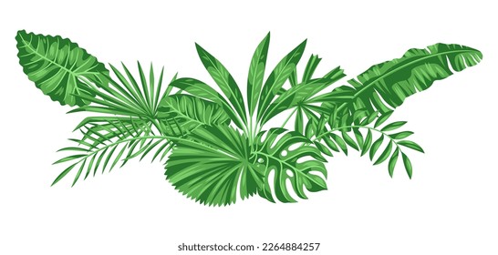 Background with stylized palm leaves. Image of tropical foliage and plants.