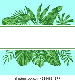 Background with stylized palm leaves. Image of tropical foliage and plants.