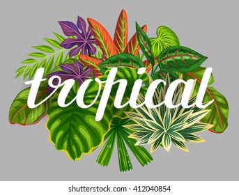 Background with stylized tropical plants and leaves. Image for advertising booklets, banners, flayers, cards, textile printing.