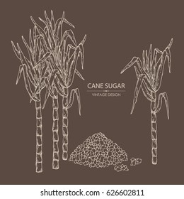 Background with sugarcane: cane sugar and sugarcane. Hand drawn.