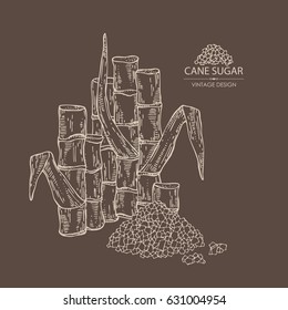 Background with sugarcane: cane sugar and sugarcane. Hand drawn