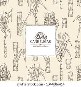 Background with sugarcane: cane sugar and sugarcane. Vector hand drawn illustration.