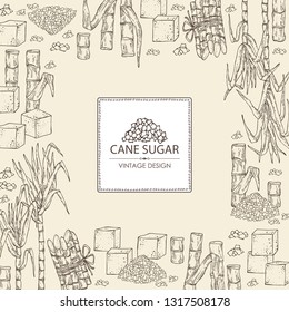 Contexto com a cana-de-açúcar: cana-de-açúcar e cana-de-açúcar. Ilustração desenhada à mão vetorial.