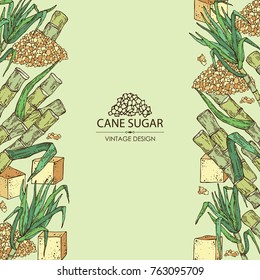 Background with sugarcane: cane sugar and sugarcane. Vector hand drawn illustration.