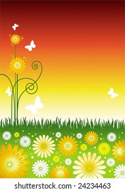 Background with summer flowers