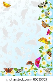 The background of the summer meadow flowers on which butterflies.