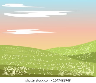 Hintergrund einer Sommerwiese, auf der viele Blumen wachsen
