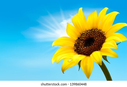 Background with sunflower field over cloudy blue sky. Vector