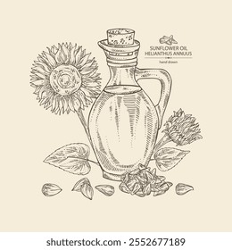 Background with sunflower: sunflower flower and sunflower seeds and bottle of sunflower oil. Vector hand drawn illustration