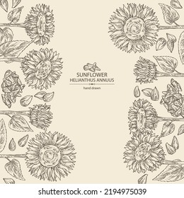 Background with sunflower: helianthus flowers, plant, leaves and sunflower seeds. Helianthus. Vector hand drawn illustration. 