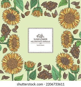 Background with sunflower: helianthus flowers, plant, leaves and sunflower seeds. Helianthus. Vector hand drawn illustration. 