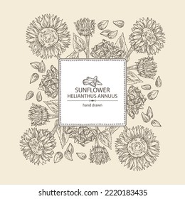 Background with sunflower: helianthus flowers, plant, leaves and sunflower seeds. Helianthus. Vector hand drawn illustration. 
