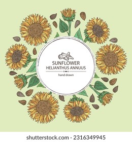 Background with sunflower: helianthus flowers, plant, leaves and sunflower seeds. Helianthus. Vector hand drawn illustration. 