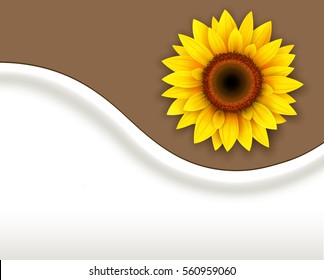 Background with sunflower, vector illustration