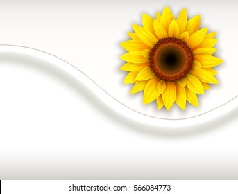 Background with sunflower, vector illustration