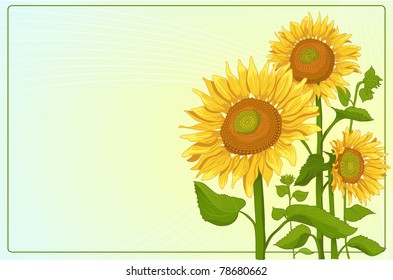 Background with sunflowers