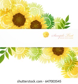 Background of  Sunflowers full bloom