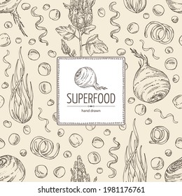 Background with super food: acai berries, maca peruvian, spirulina algae and  quinoa. Vector hand drawn illustration. 