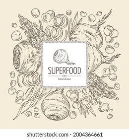 Background with super food: acai berries, maca peruvian, spirulina algae and  quinoa. Vector hand drawn illustration. 