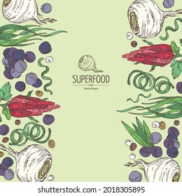 Background with super food: acai berries, maca peruvian, spirulina algae and  quinoa. Vector hand drawn illustration. 