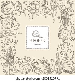 Background with super food: acai berries, maca peruvian, spirulina algae and  quinoa. Vector hand drawn illustration. 