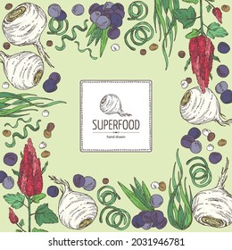 Background with super food: acai berries, maca peruvian, spirulina algae and  quinoa. Vector hand drawn illustration. 