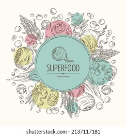 Background with super food: acai berries, maca peruvian, spirulina algae and  quinoa. Vector hand drawn illustration. 