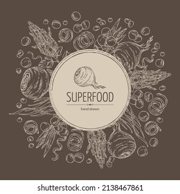 Background with super food: acai berries, maca peruvian, spirulina algae and  quinoa. Vector hand drawn illustration. 