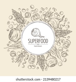 Background with super food: acai berries, maca peruvian, spirulina algae and  quinoa. Vector hand drawn illustration. 