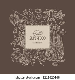 Background with super food: guarana, spirulina algae, maca peruvian, goji berries and physalis. Super food. Vector hand drawn illustration.