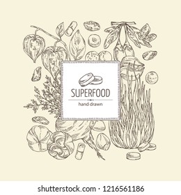 Background with super food: guarana, spirulina algae, maca peruvian, goji berries and physalis. Super food. Vector hand drawn illustration.