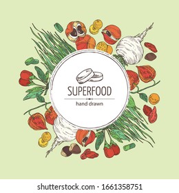 Background with super food: guarana, spirulina algae, maca peruvian, goji berries and physalis. Super food. Vector hand drawn illustration.